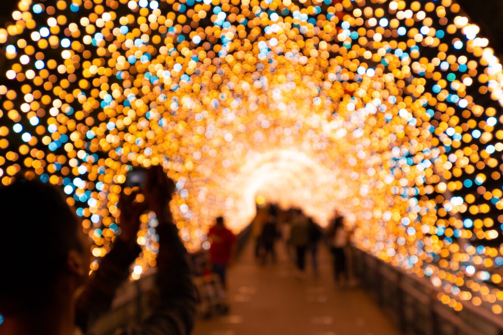 Cheekwood immersive Holiday lights experience