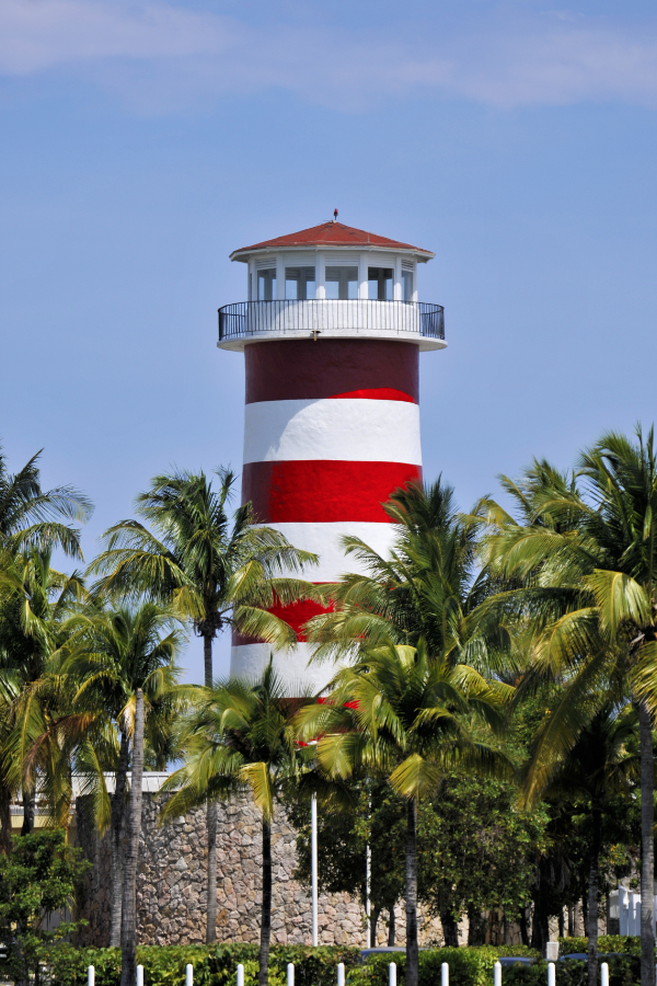 best things to do in fort lauderdale
